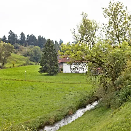 Am Muehlbach Daire *