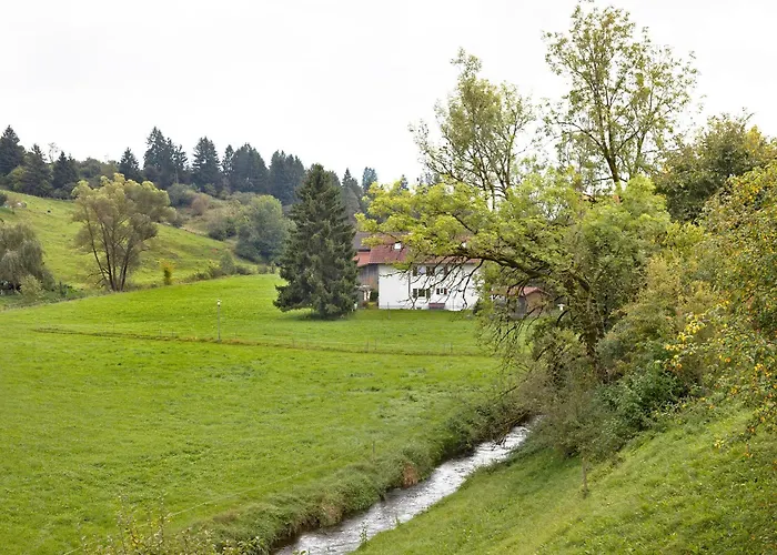 Am Muehlbach 公寓 *